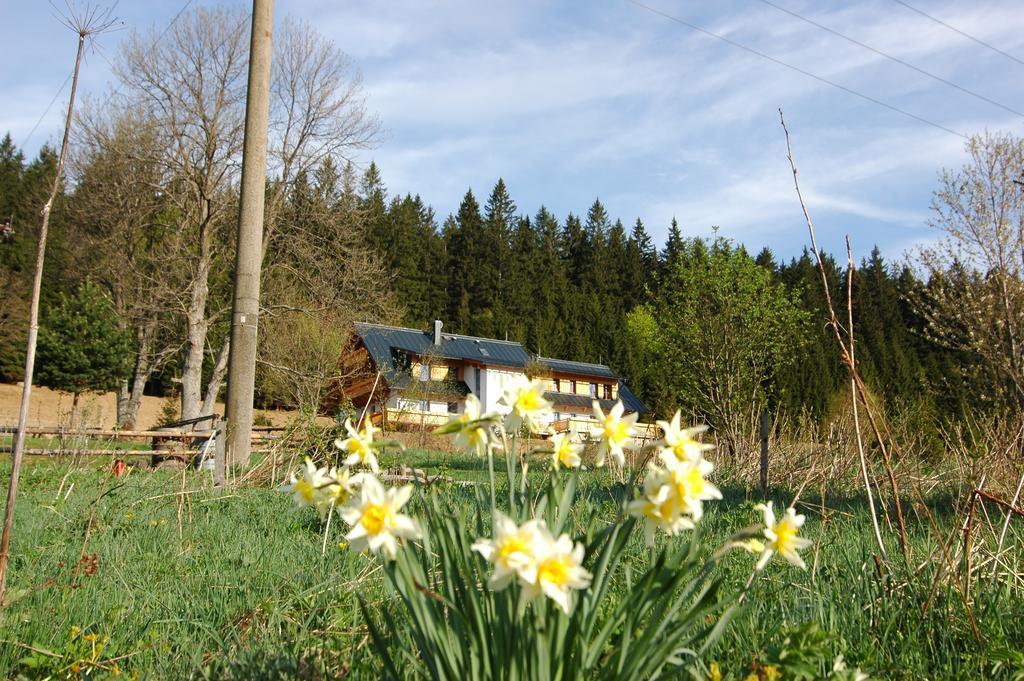 Pension Pamferka Železná Ruda Kültér fotó